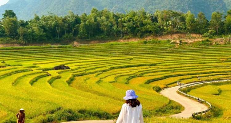 Desde Hanói: Aventura de 2 días en Mai Chau y Puluong: bicicleta panorámica, pueblos étnicos y reserva natural - Open Asia Travel  9