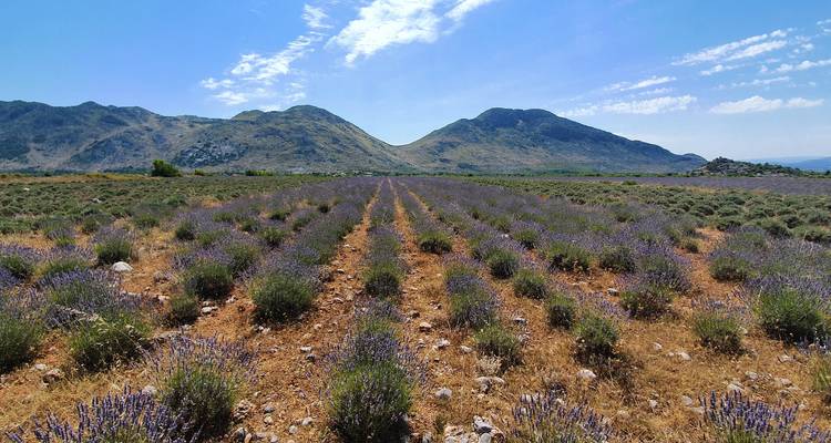 Day tour of Theth from Tirana - SEE Trips 10