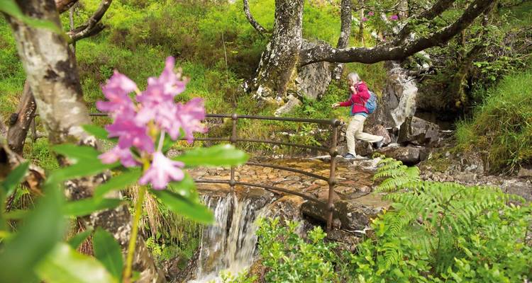 Vacances à pied sur le West Highland Way (11 destinations) - DERTOUR 8
