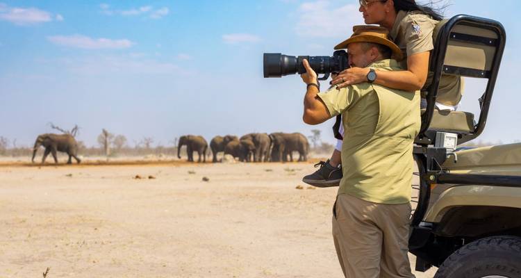 Menschen in einem Safari-Fahrzeug beobachten Elefanten.