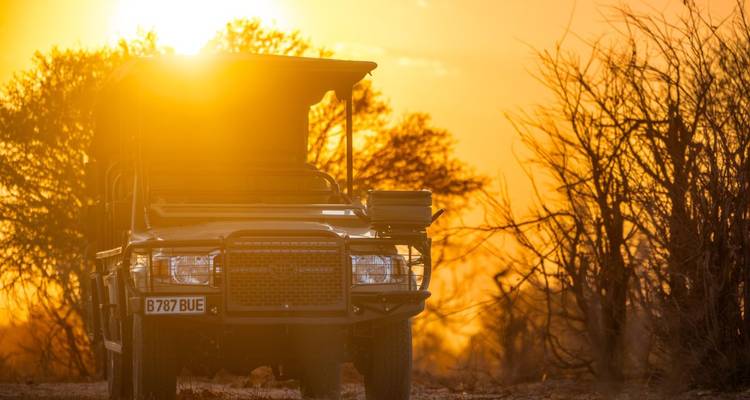 Safarifahrzeug bei Sonnenuntergang mit Bäumen im Schattenbild.