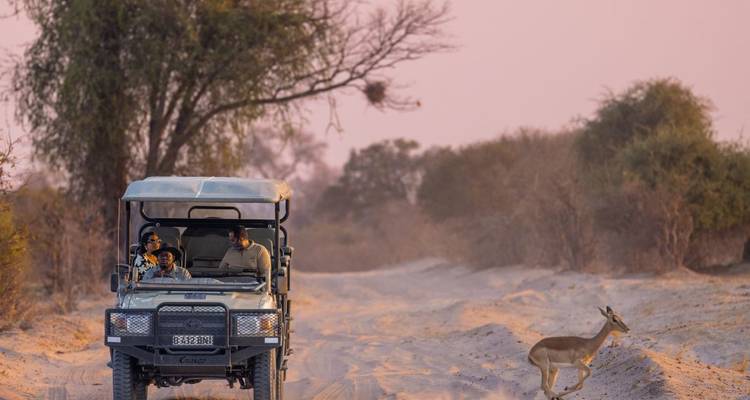 Laufende Gazelle neben einem Safari-Fahrzeug.