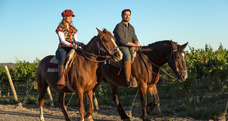Zwei Menschen zu Pferd in einem Weinberg.