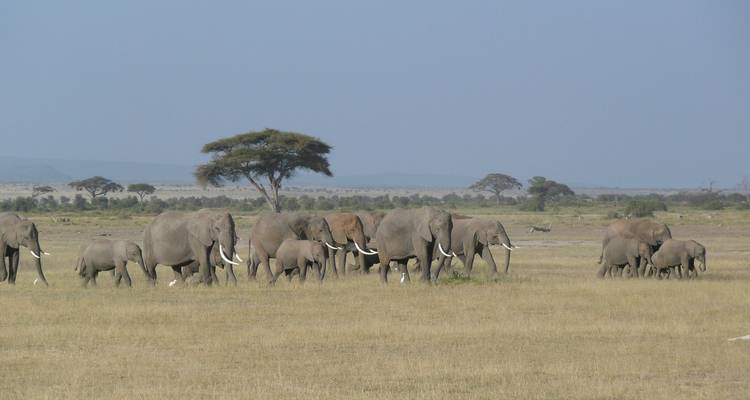 Southern Africa Safari Adventure - Tours of Distinction 3