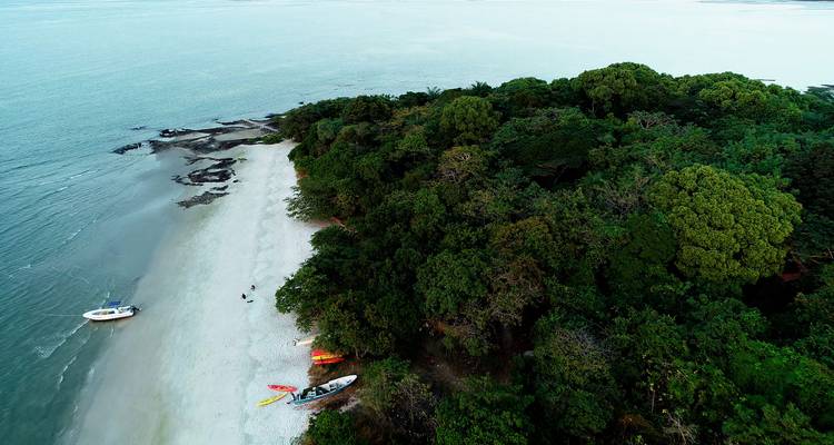 Vue aérienne d'une plage avec des arbres verts luxuriants.