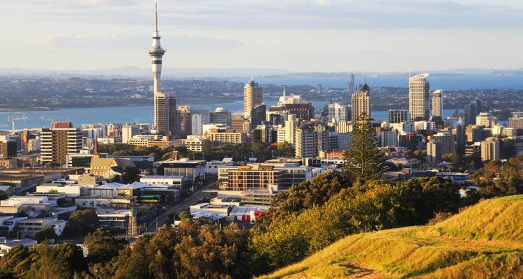 Stadtskyline mit Blick auf einen Turm und Hafen.