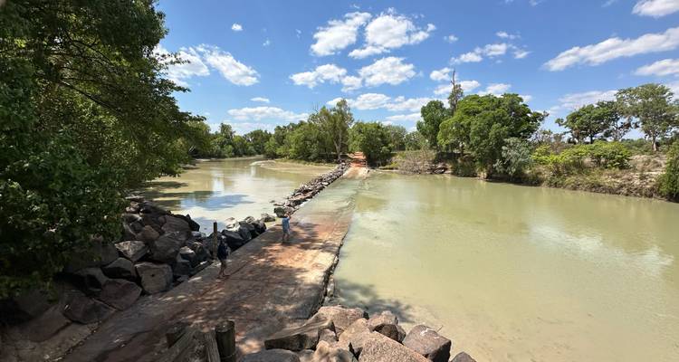 Rivière avec des pierres de gué entourée d'une végétation luxuriante.