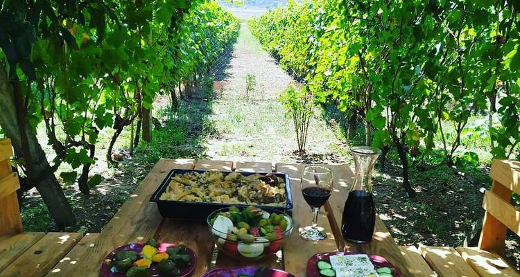 Le goût de l'Albanie : Gastronomie et vins - Up Albania  9