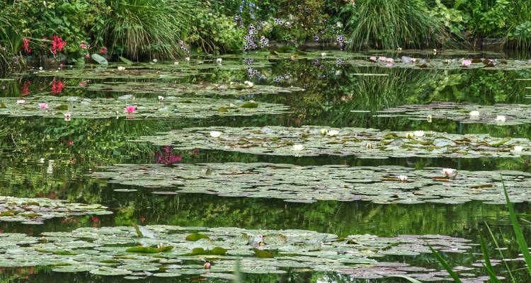 NORMANDIE y BRETAGNE | El salvaje y romántico noroeste de Francia - Ruefa Studienreisen 1