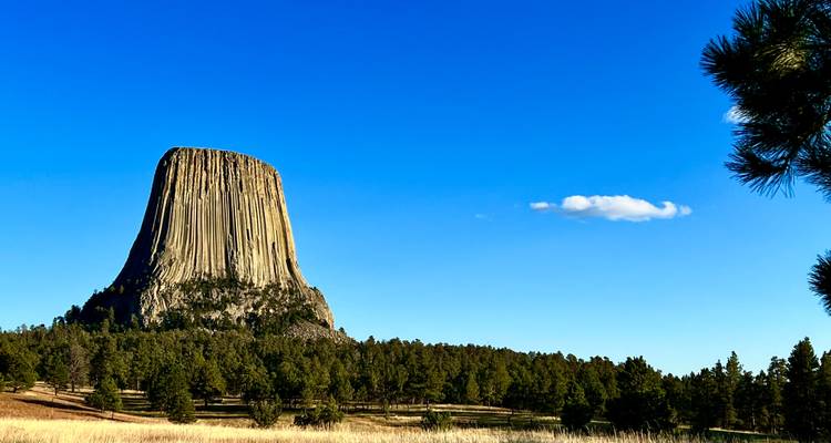 Pleins feux sur le Dakota du Sud avec le Mont Rushmore et les Badlands (2026) - Collette 4