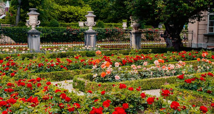 Formele rozentuinen bloeien met rode en roze bloemen omzoomd door buxushagen en stenen urnen.