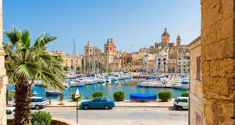 Uitzicht op een jachthaven met boten en historische gebouwen.
