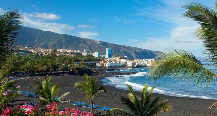 Playa de arena negra bordeada por arbustos florales y palmeras con el telón de fondo de una ciudad costera.