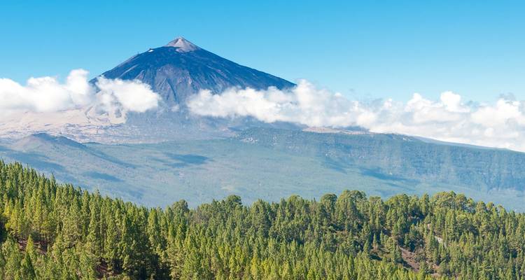 El Monte Teide se eleva majestuosamente sobre los rodales de pinos que se extienden bajo un cielo azul vibrante.