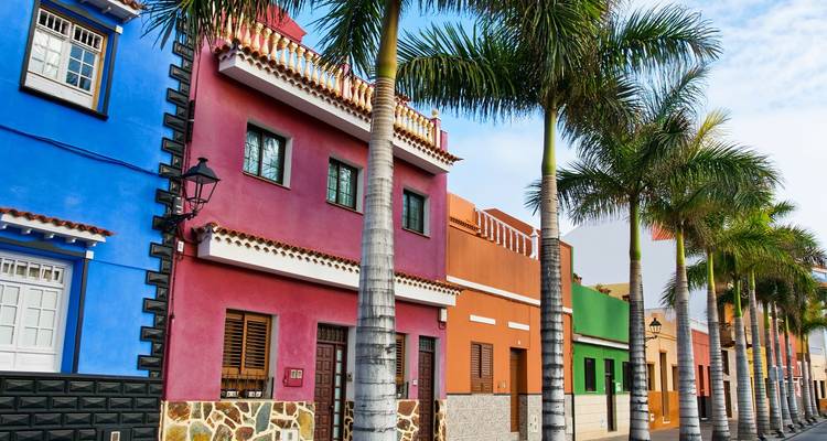 Fila de casas pintadas con colores brillantes bordeadas de palmeras altas en una calle soleada.