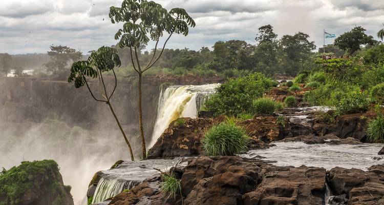 10 días, Argentina y Brasil: Ciudad y Selva - Responsible Travel South America 2