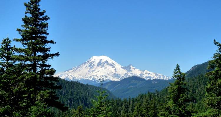 Instantánea: El Pacífico Noroeste de Seattle - Tours of Distinction 1