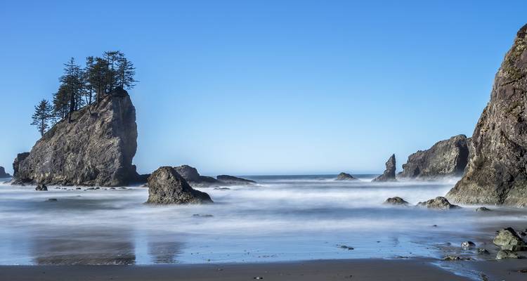 Instantánea: El Pacífico Noroeste de Seattle - Tours of Distinction 6