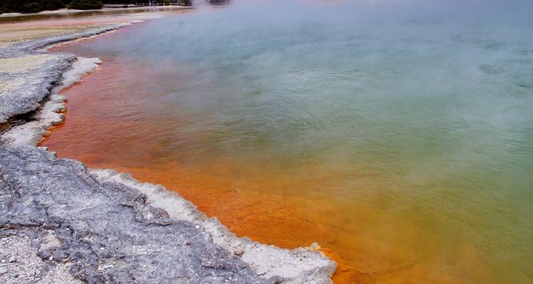 Ultimate North Island - Aventure tout compris - 8 jours - Hiking New Zealand 2