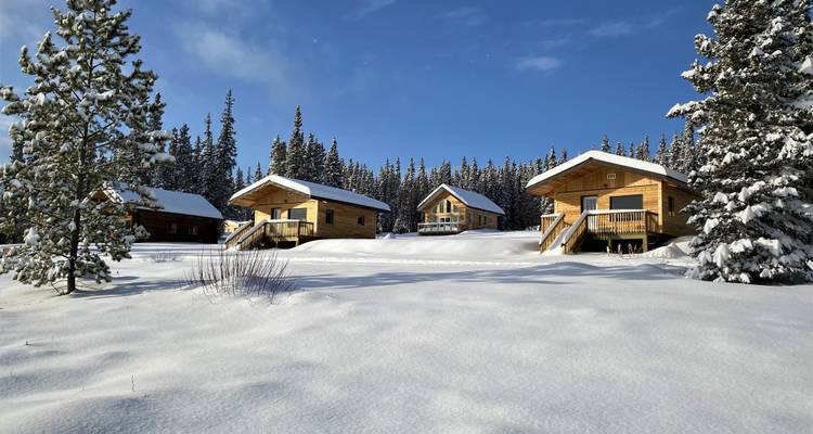 Des chalets enneigés dans un cadre de forêt hivernale.