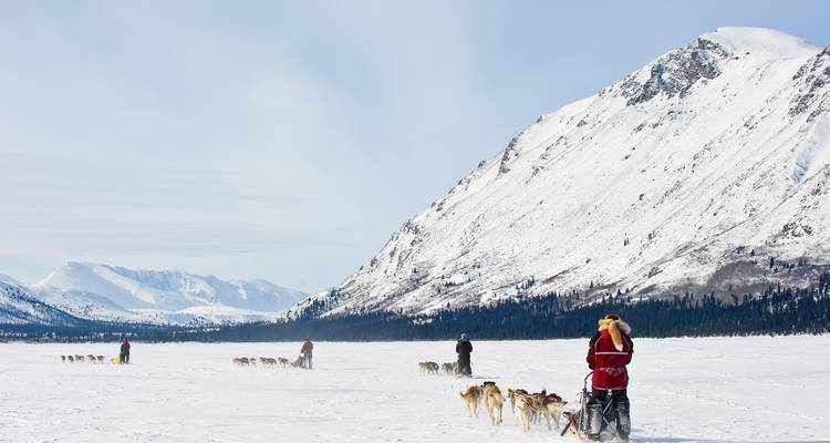 Traîneau à chiens traversant une plaine enneigée avec des montagnes au loin.