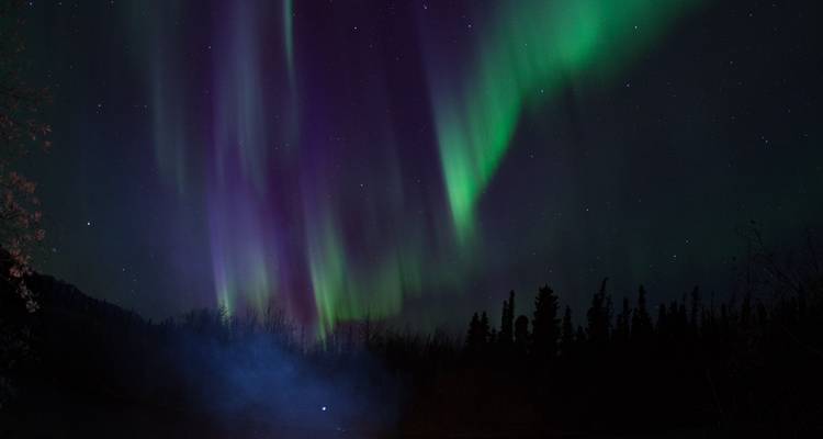 Aurores boréales illuminant le ciel nocturne au-dessus d'une forêt.
