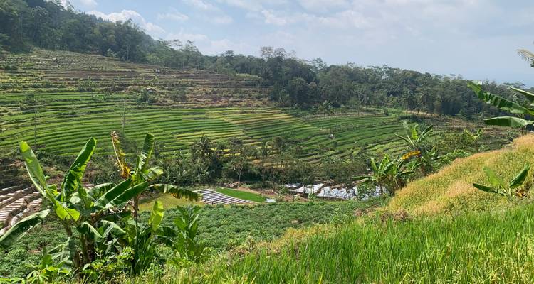 Indonesia Gran Viaje : Excursión a Java y Bali con guía local - Ayla Tour and Transport 7