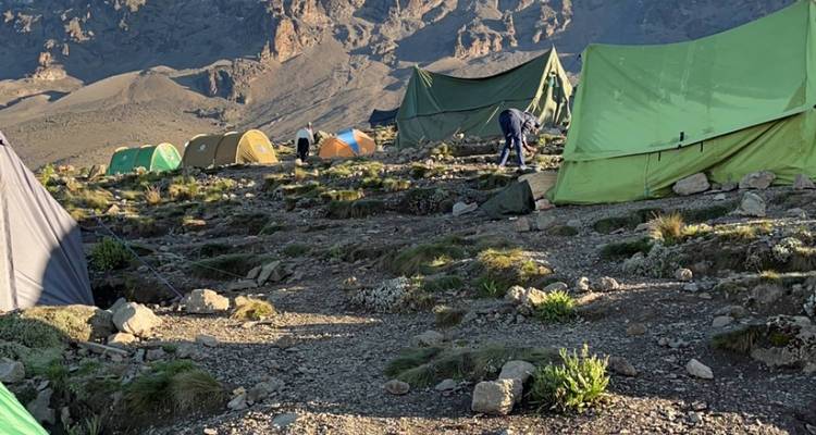 Climb Mt.Kilimanjaro Via Umbwe Route 6 Days - Pure African Expeditions 6