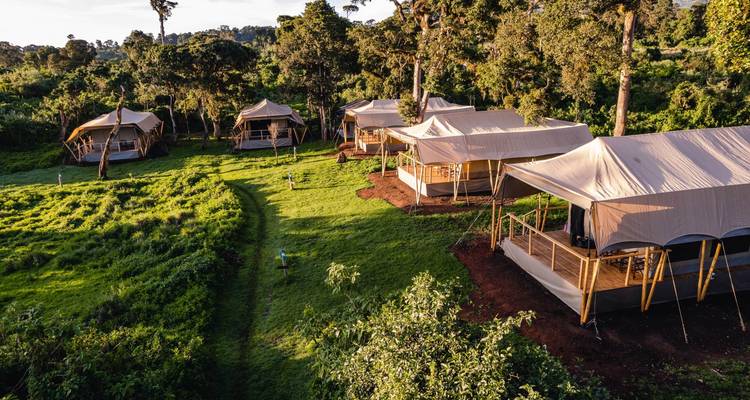 Safari de 8 días a la Migración del Serengeti: Sigue el viaje de los ñus - Professional Safari Africa 1