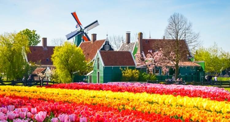 Le printemps en Hollande (croisière de port à port) - MONET (6 destinations) - CroisiEurope River Cruises 5