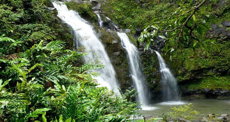 USA - Hawai: Tropical Dreams - 5 days - Receptivo Aborigen Tours 8