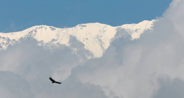 Trek du camp de base du Dhaulagiri - Alpine Club of Himalaya 9