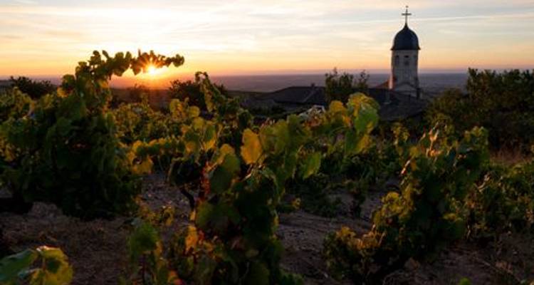 Crucero excepcional de degustación de vinos en Borgoña: Beaujolais Nouveau (crucero puerto a puerto) - Mistral - CroisiEurope River Cruises 7