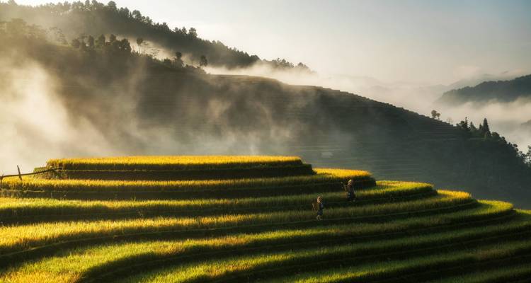 Le Vietnam classique : De Sapa au Mékong - G Adventures 7