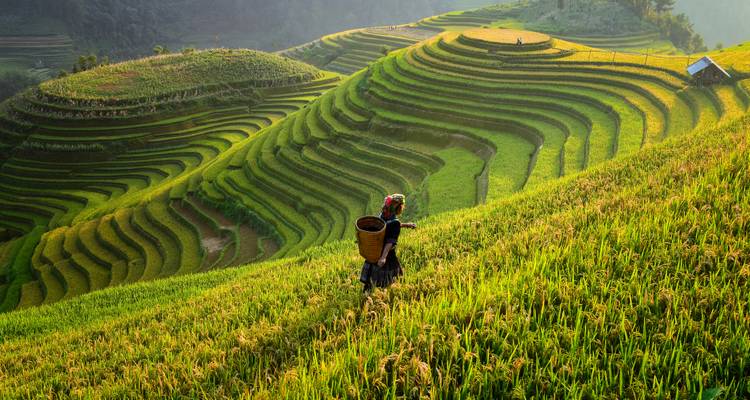 Le Vietnam classique : De Sapa au Mékong - G Adventures 8