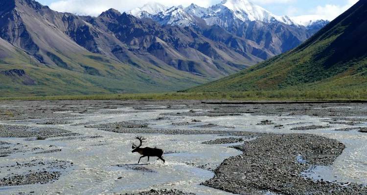 Étonnant Alaska - Circuit de randonnée guidée de 12 jours en Alaska - Fresh Adventures 4