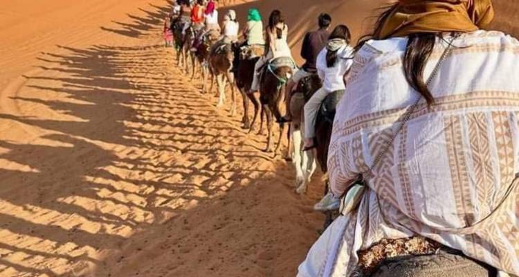 Caravana de camellos avanzando por las arenas del desierto.