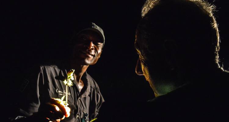 Serengeti et au-delà : Un voyage à travers les parcs emblématiques de la Tanzanie - T.S TOURS 3