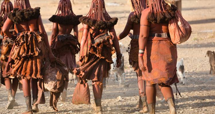 Safari de 5 jours dans le parc national d'Etosha et dans la communauté Himba - Knap Tours Limited 9