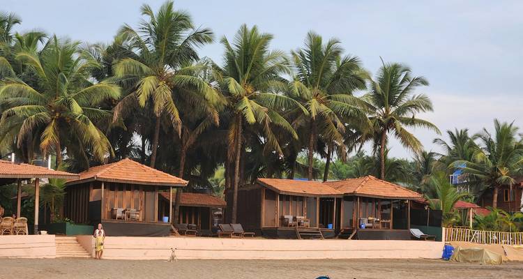 Beach huts and palm trees along the seashore.