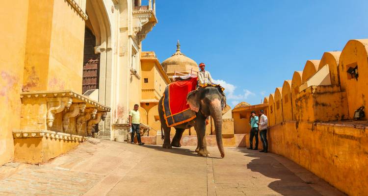 Een olifant met een rode doek, geleid door een mahout bij de ingang van een fort.
