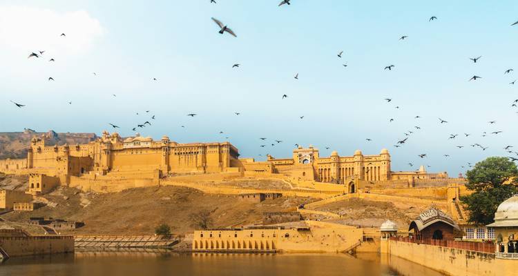 De honingkleurige wallen van Amber Fort stijgen uit boven een spiegelglad meer terwijl zwermen vogels over een bleekblauwe hemel zweven.