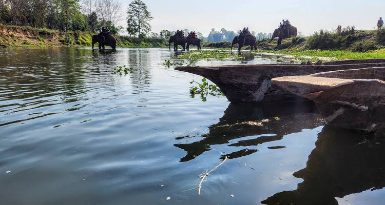 Safari por la selva de Chitwan - Himalayan Trekking & Tours 2
