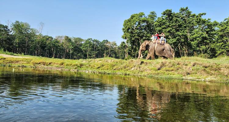 Safari por la selva de Chitwan - Himalayan Trekking & Tours 3