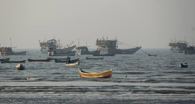 Fishing boats in the sea with a hazy horizon.