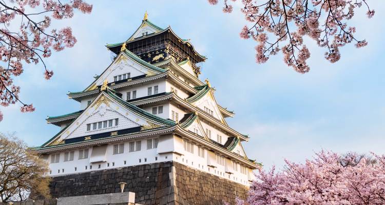 Japón y Corea del Sur: Viaje en tren a Hanok y Harajuku - journaway 5