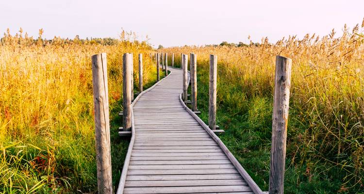 Miami & Curaçao: City Sun Meets Caribbean Road Trip - journaway 9