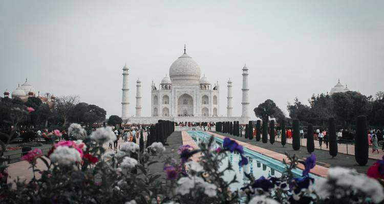 Circuito cultural y por la naturaleza de la India - Ramble Advisor 2