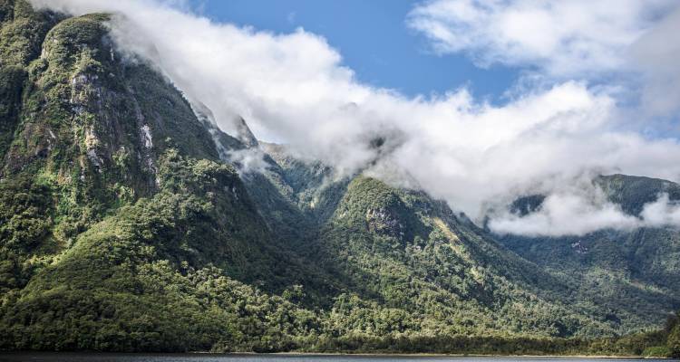 Foggy mountains with lush vegetation and clouds.