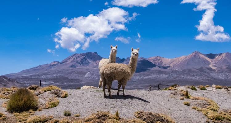 Sudamérica: La Paz, Santiago y el Salar de Uyuni - G Adventures 2